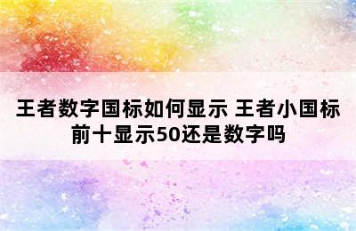 王者数字国标如何显示 王者小国标前十显示50还是数字吗